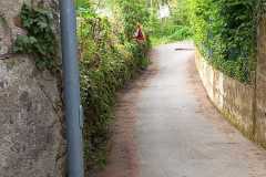 Foto_16